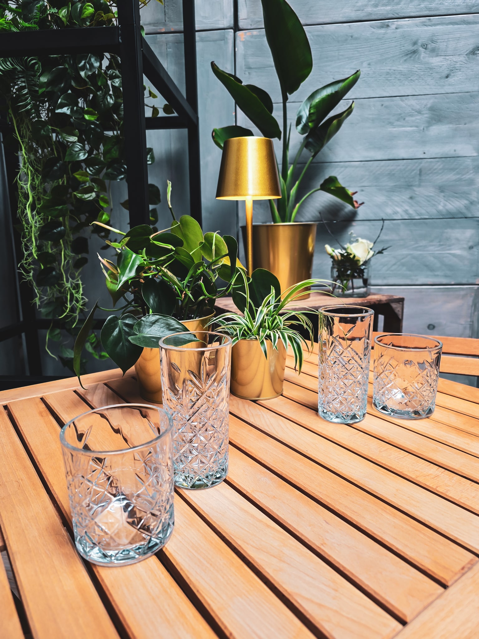 Tumbler Timeless 24 stuks